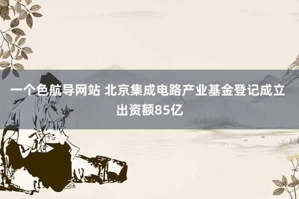 一个色航导网站 北京集成电路产业基金登记成立 出资额85亿