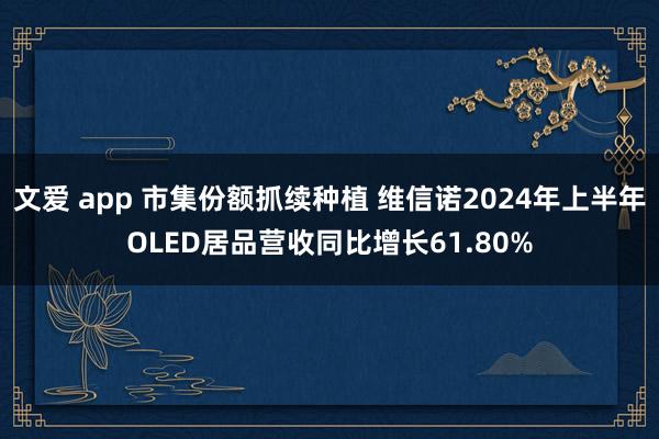 文爱 app 市集份额抓续种植 维信诺2024年上半年OLED居品营收同比增长61.80%