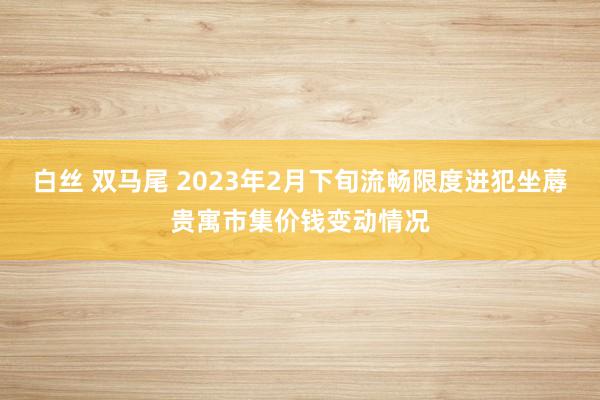 白丝 双马尾 2023年2月下旬流畅限度进犯坐蓐贵寓市集价钱变动情况